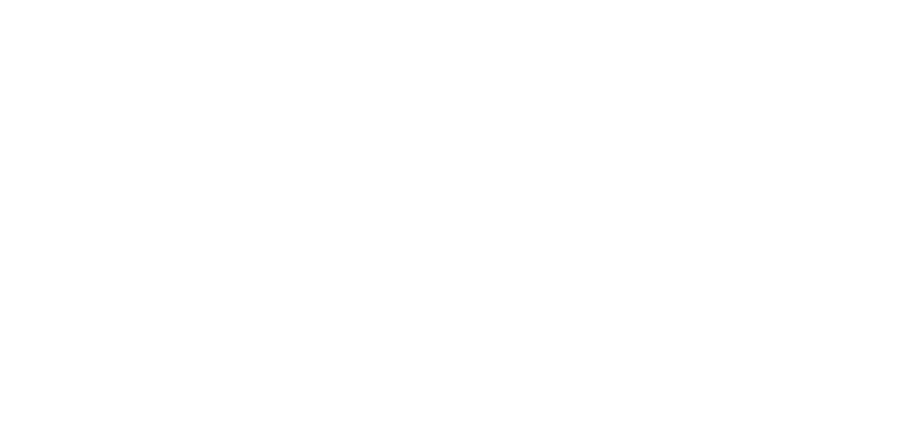 Logo van Nederlands Letterenfonds 